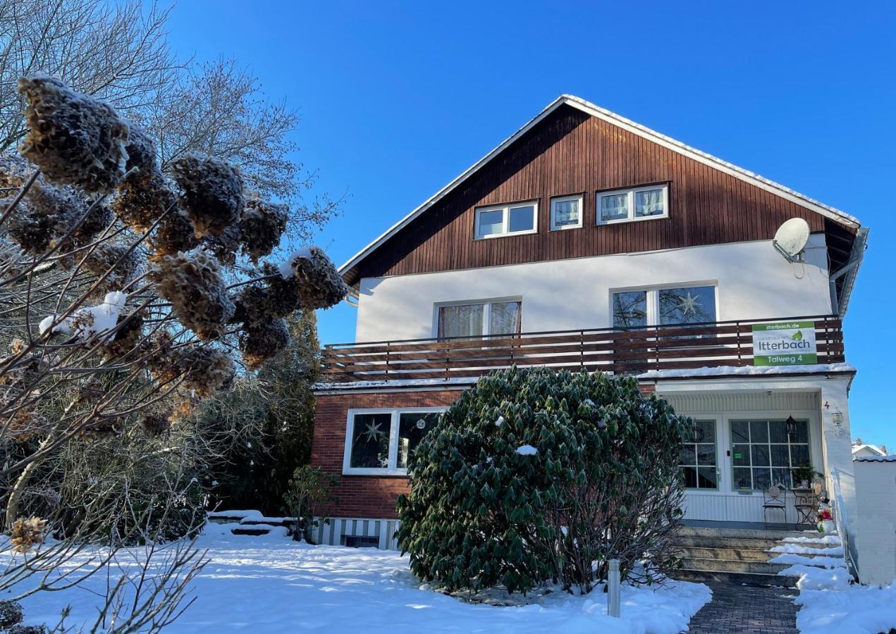 Landhaus Am Itterbach Willingen Willingen  Εξωτερικό φωτογραφία